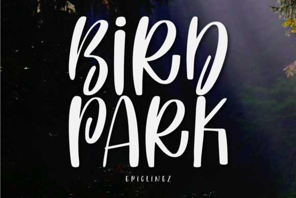 Bird Park: A Playful Display Font for Scroll-Stopping Brand Content